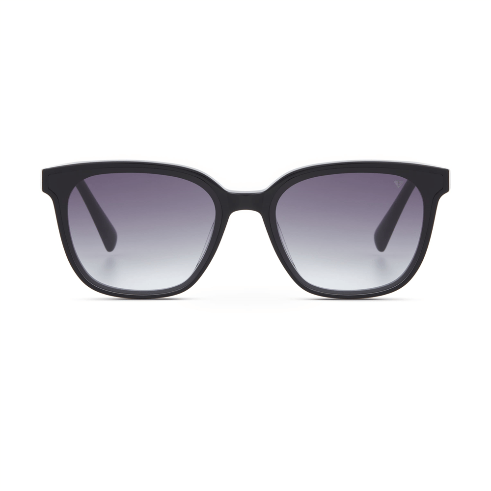 Blancia Milano BC 1334 C2