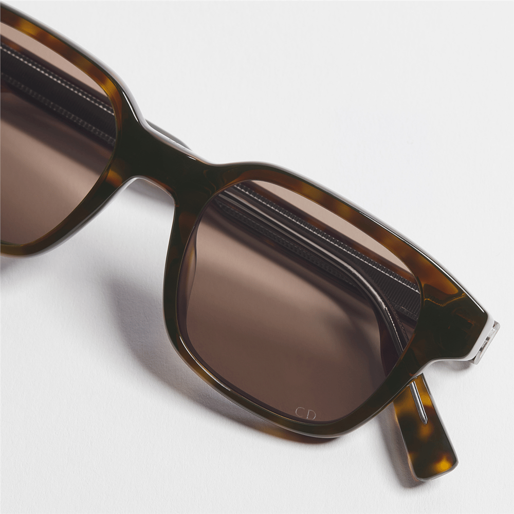 Dior Ibbon S1I DM 40190I 52N Erkek Güneş Gözlüğü
