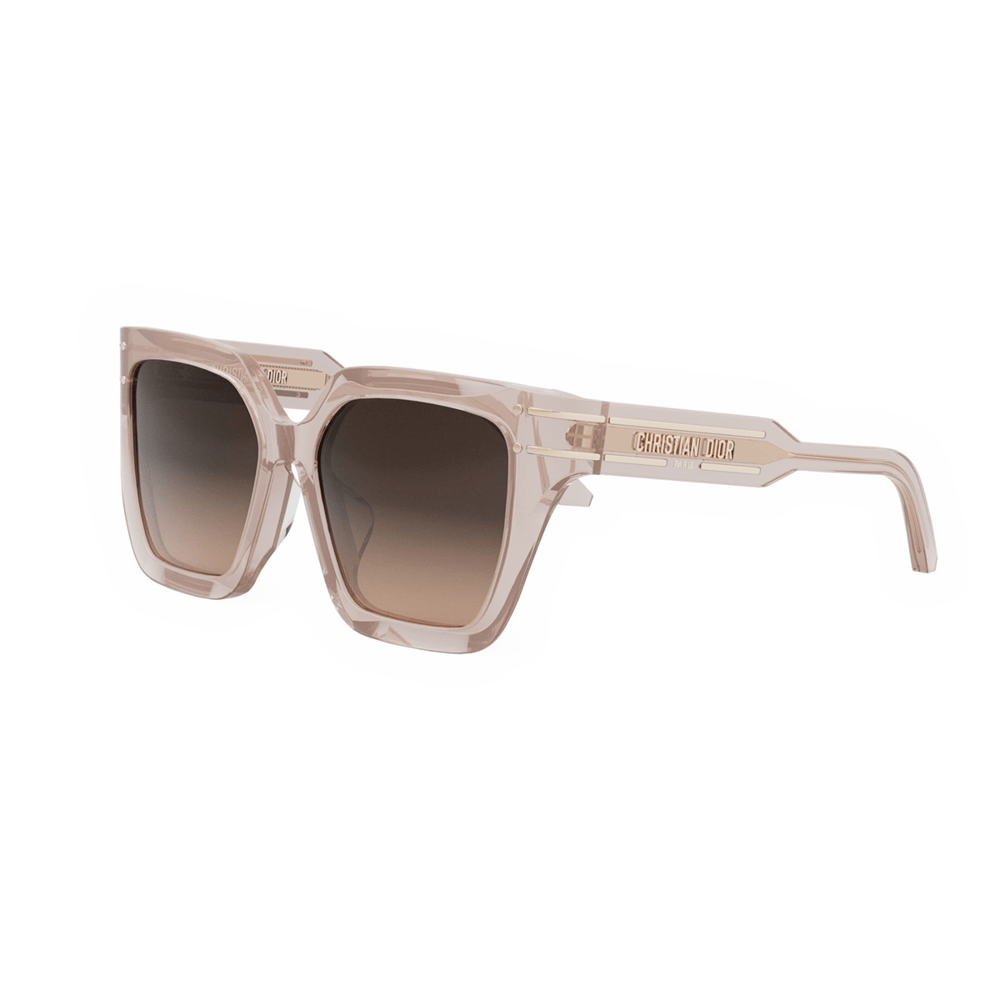 Dior DiorSignature S10F CD 40131F 72K