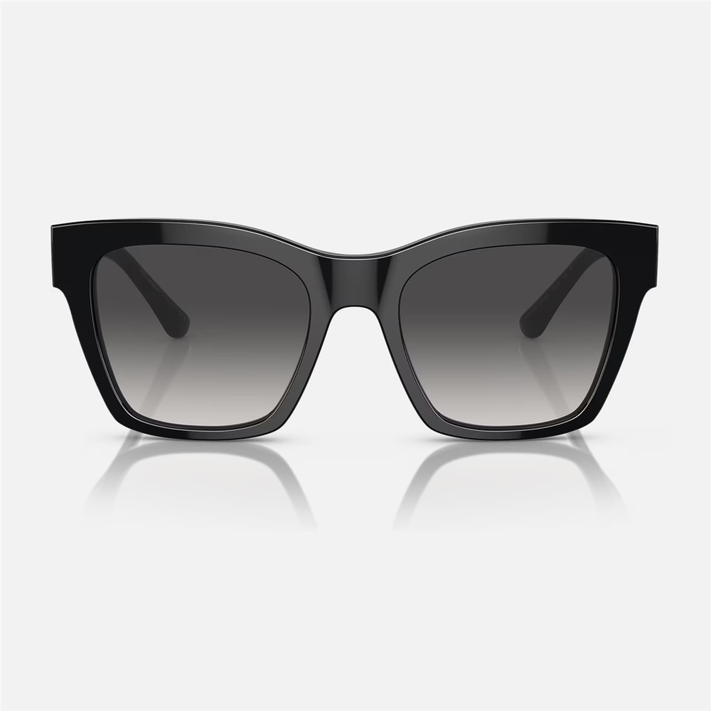 Dolge & Gabbana DG 4384 501/8G 53