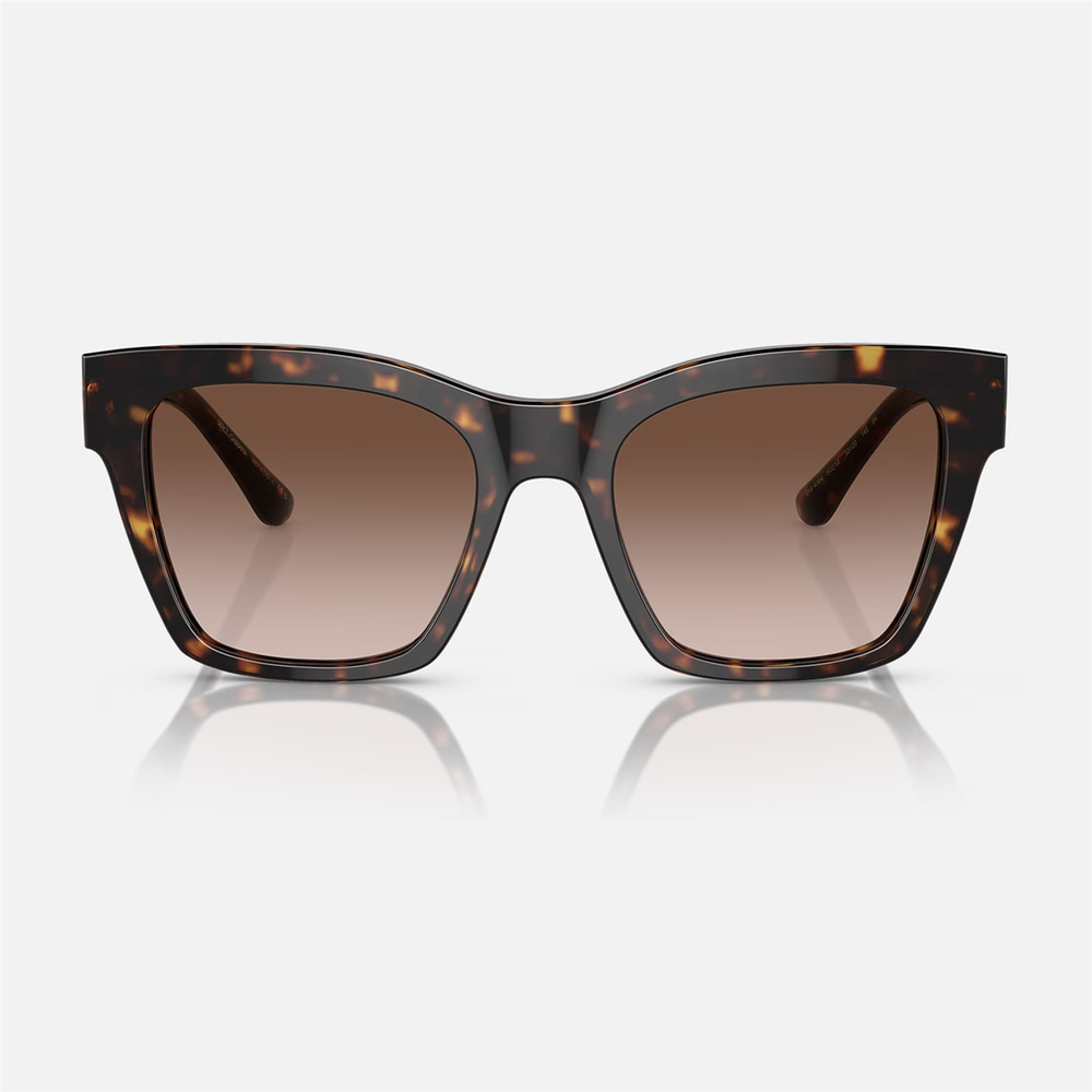 Dolge & Gabbana DG 4384 502/13 53