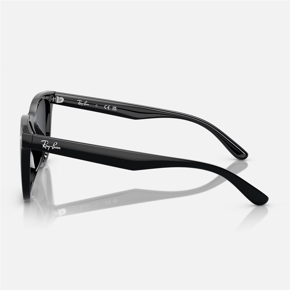 Ray-Ban RB 4420 601/87 65