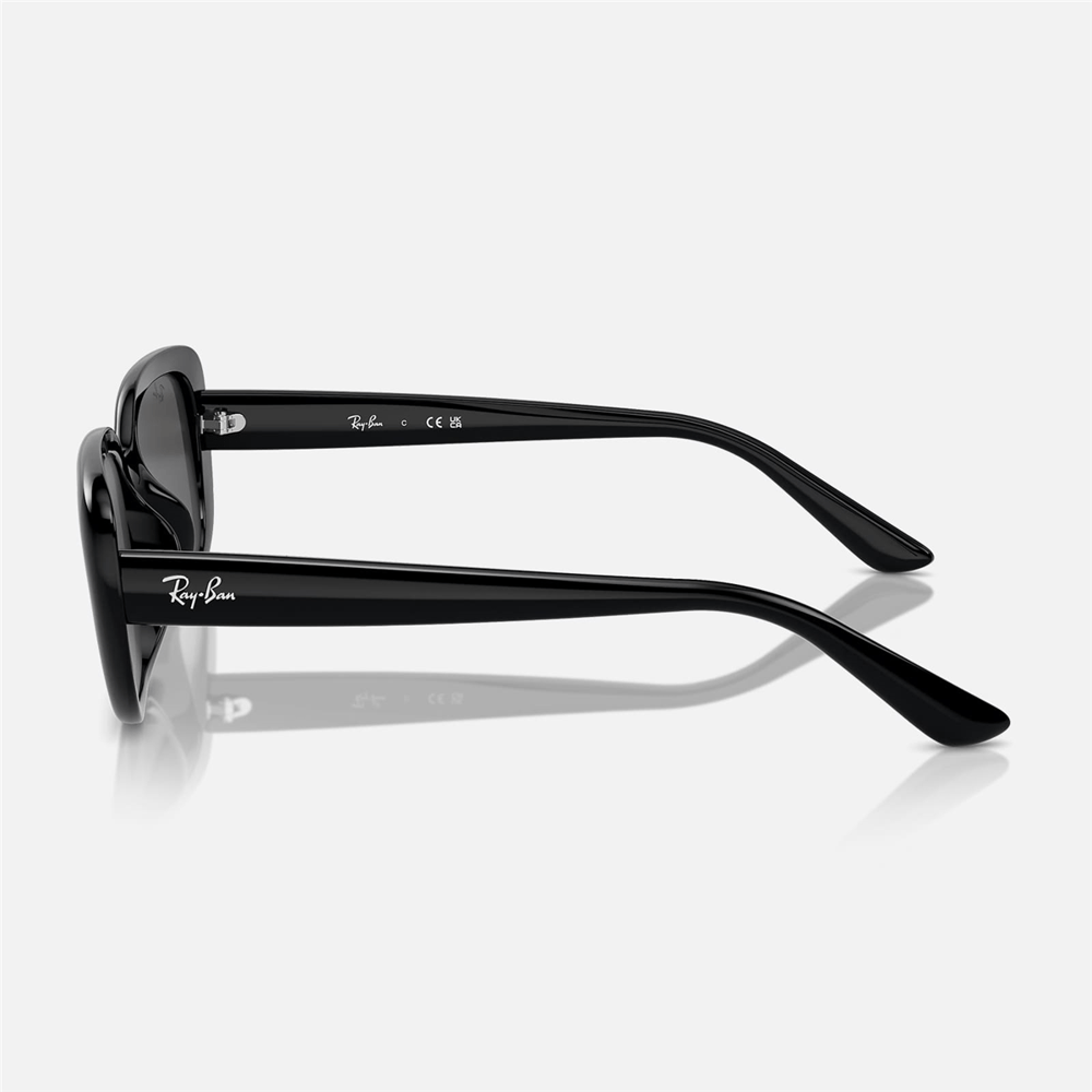 Ray-Ban RB 4421D 667787 56