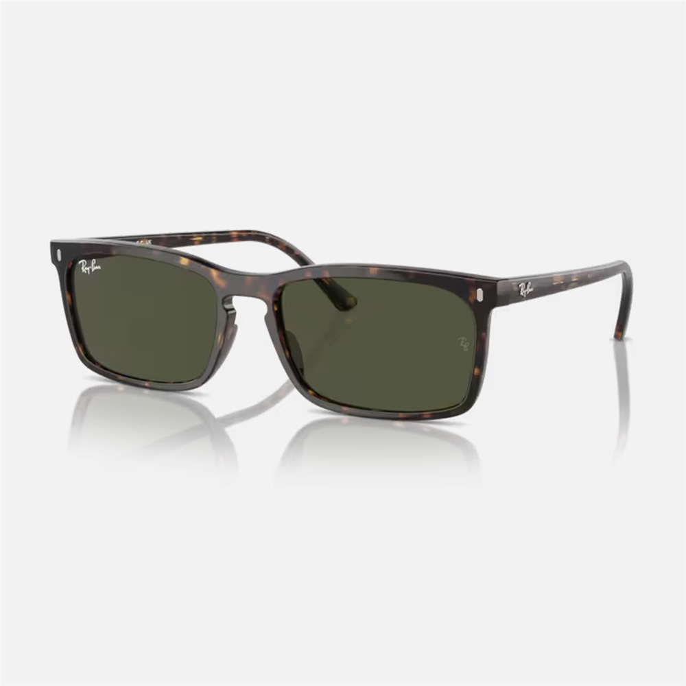 Ray-Ban RB 4435 902/31 56