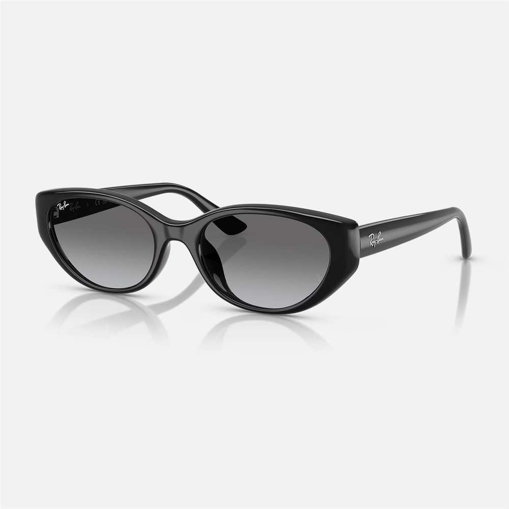 Ray-Ban RB 4457D 667711 55