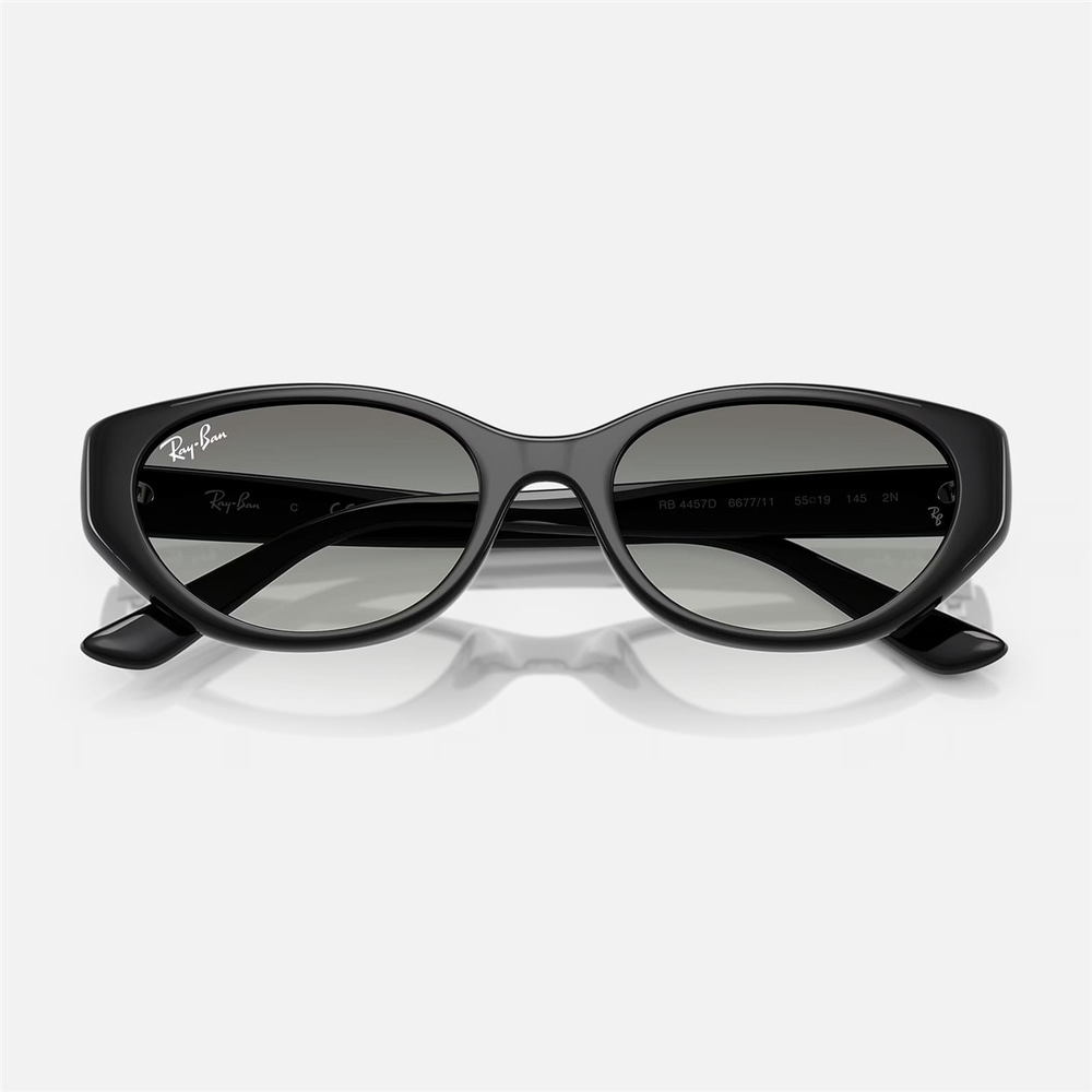 Ray-Ban RB 4457D 667711 55