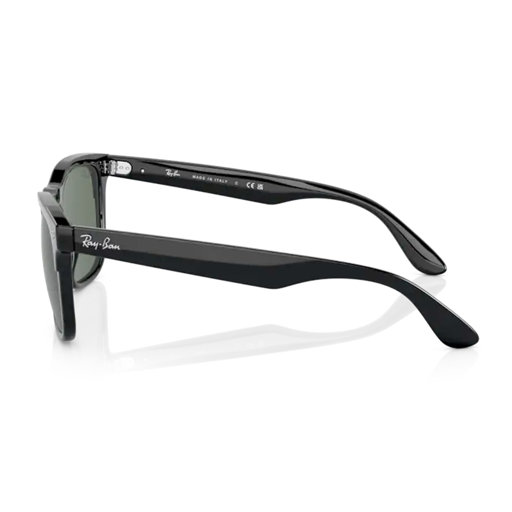 Ray-Ban Steve RB 4487 662971 54