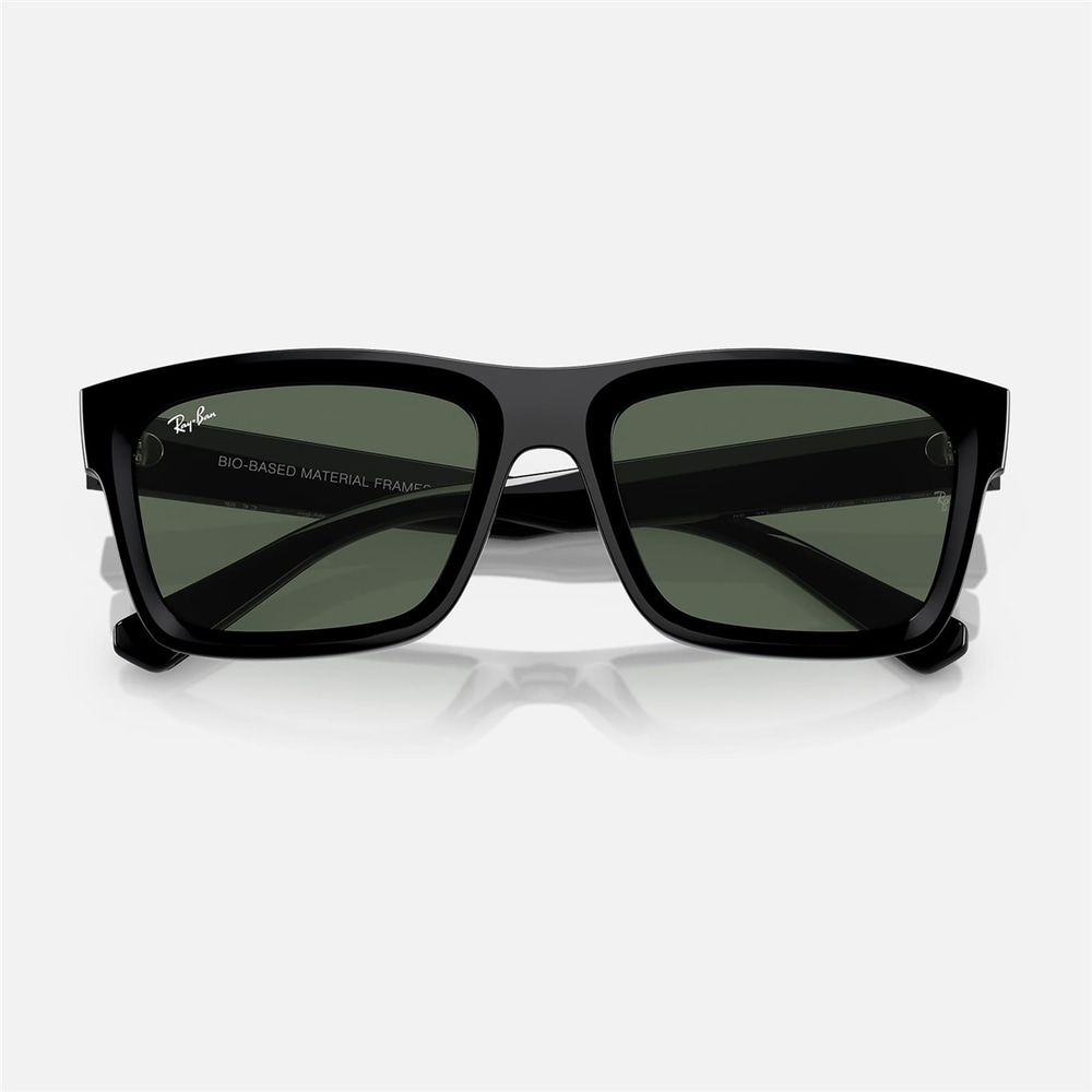 Ray-Ban Warren RB 4396 667771 54