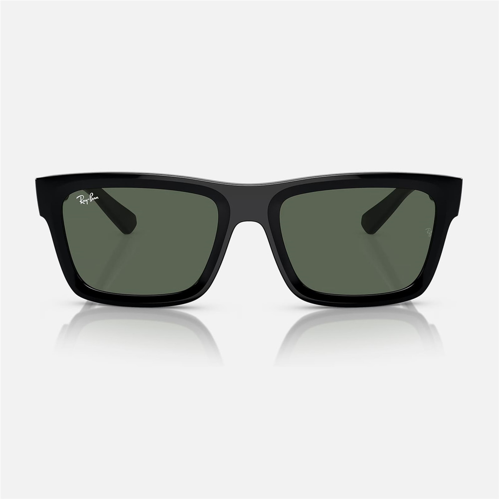 Ray-Ban Warren RB 4396 667771 54