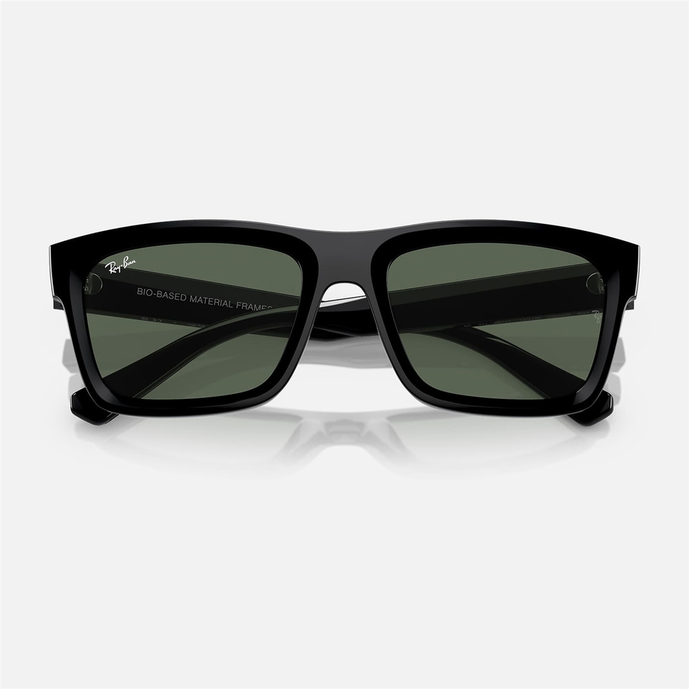 Ray-Ban Warren RB 4396 667771 57