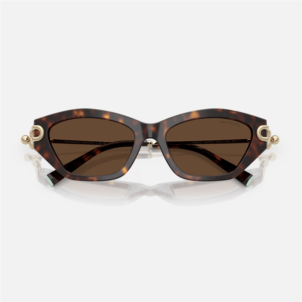 Tiffany TF 4231U 80153G 53