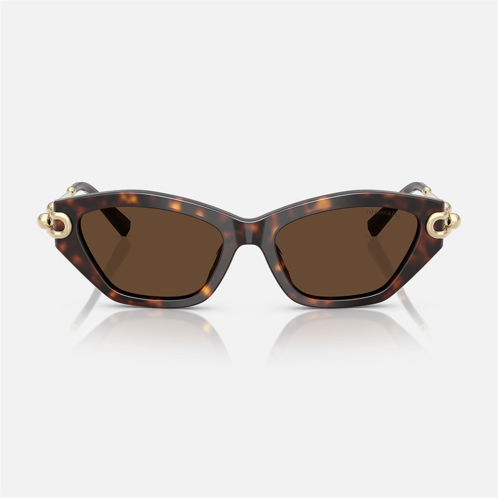 Tiffany TF 4231U 80153G 53