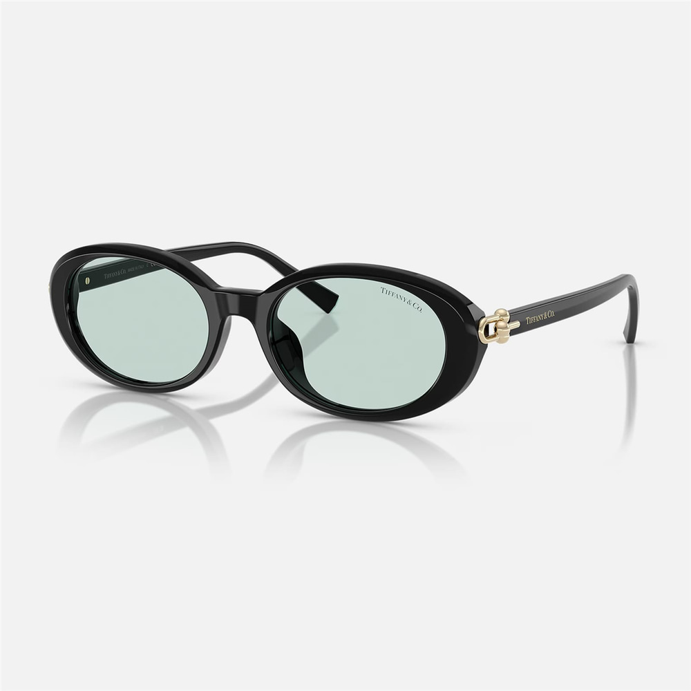Tiffany TF 4242D 8001D9 54 Siyah Kadın Güneş Gözlüğü