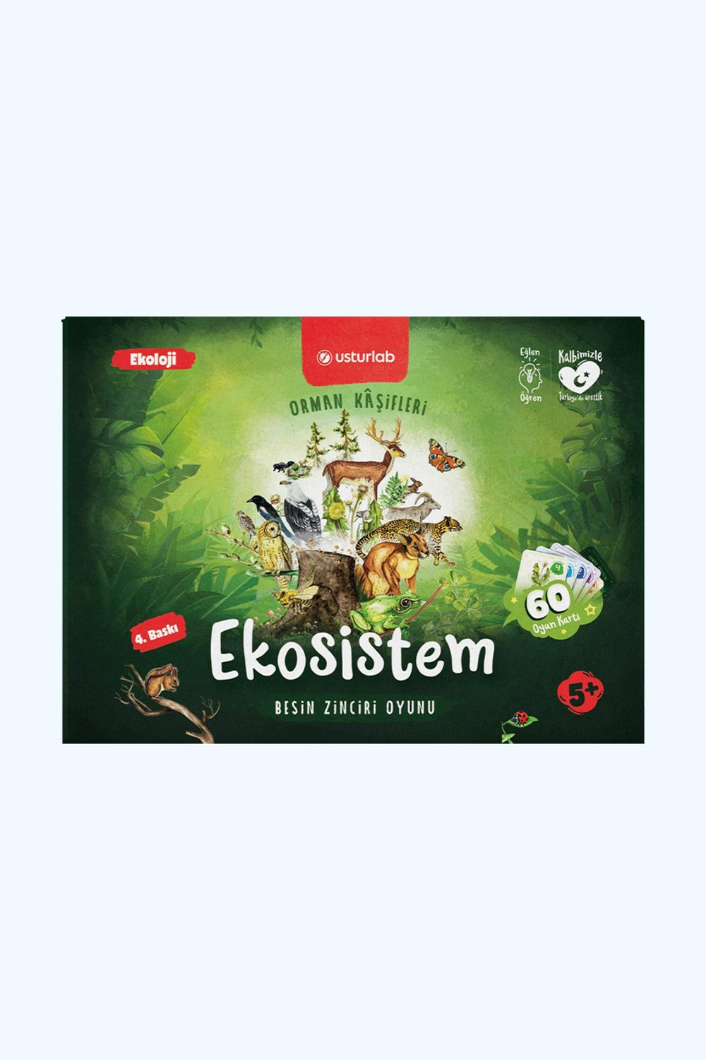 Ekosistem Besin Zinciri Oyunu