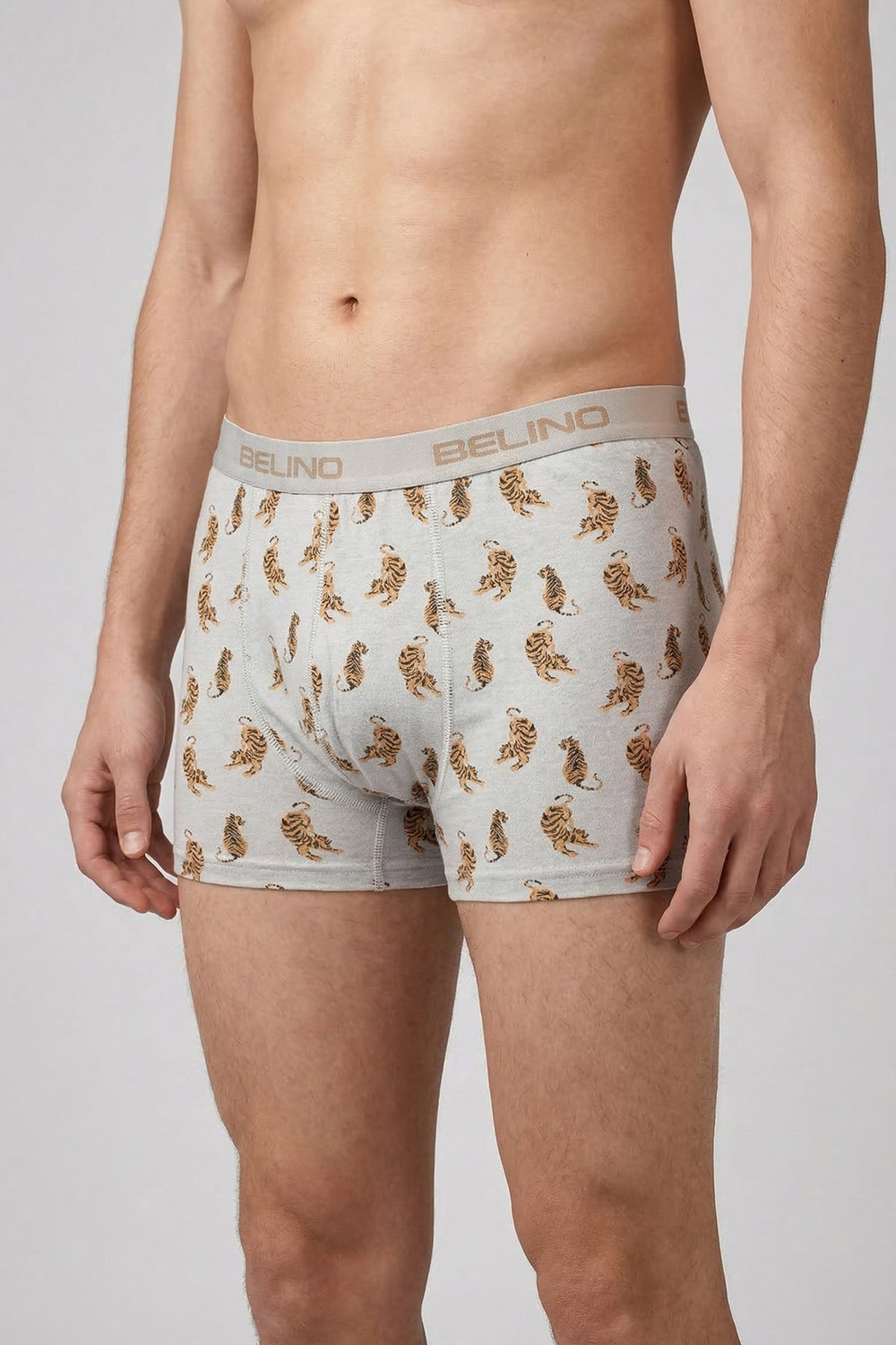 Desenli Erkek Boxer- Tiger Power