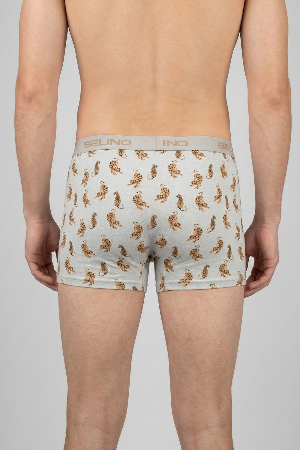 Desenli Erkek Boxer- Tiger Power