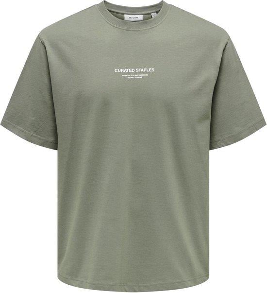 Only & Sons Onscurated Rlx Prınt Ss Tee Noos Erkek  T-shirt 22030925