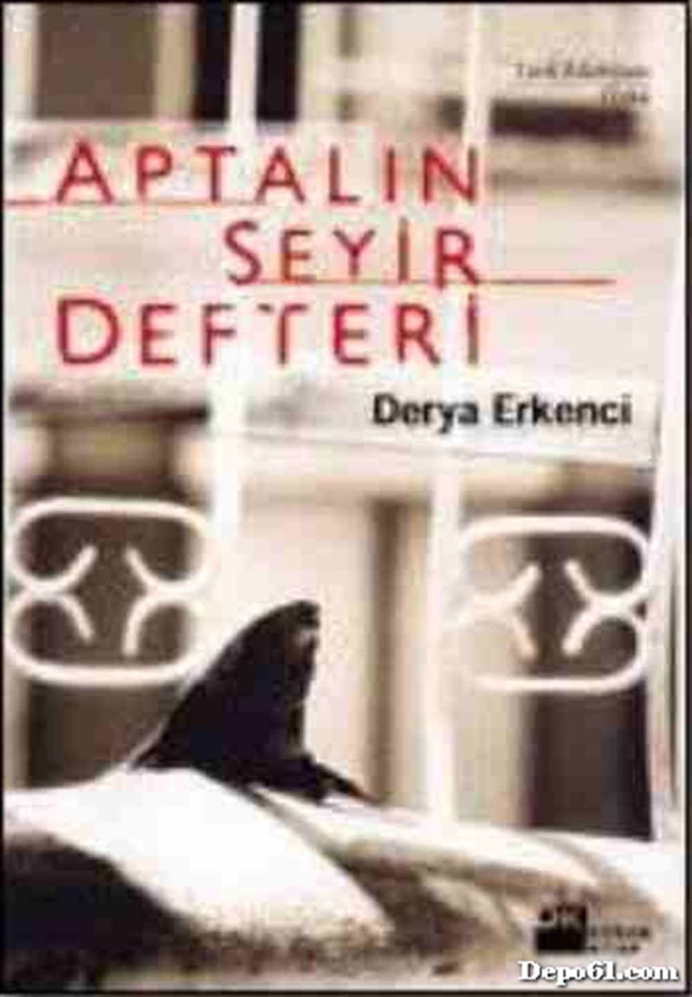 Aptalın Seyir Defteri Derya Ekici DK