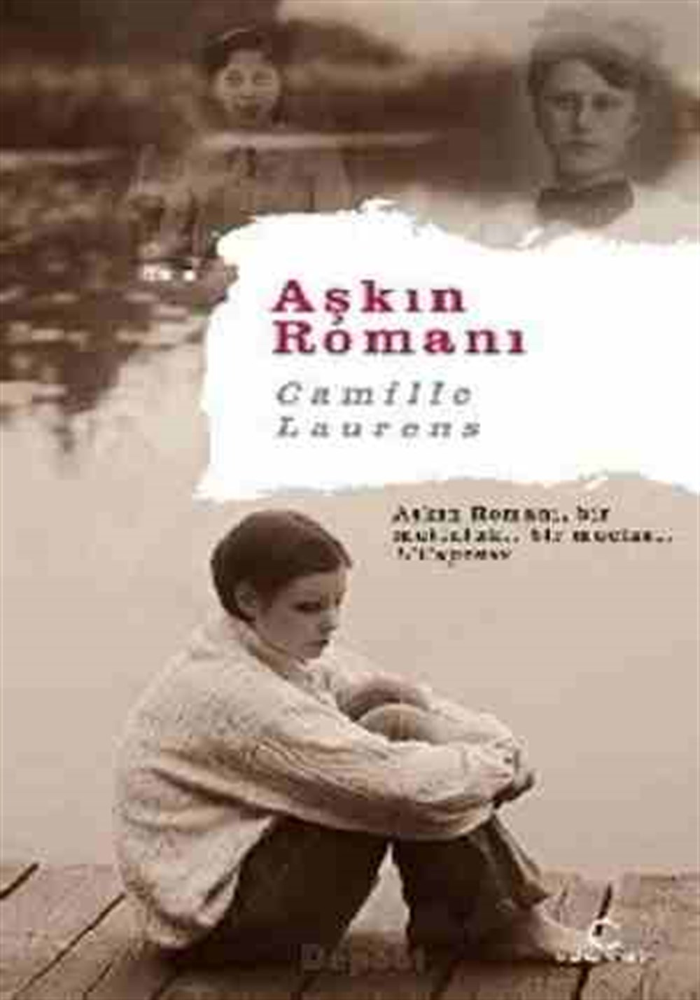 Aşkın romanı Camille Laurens Dharma Yayınları