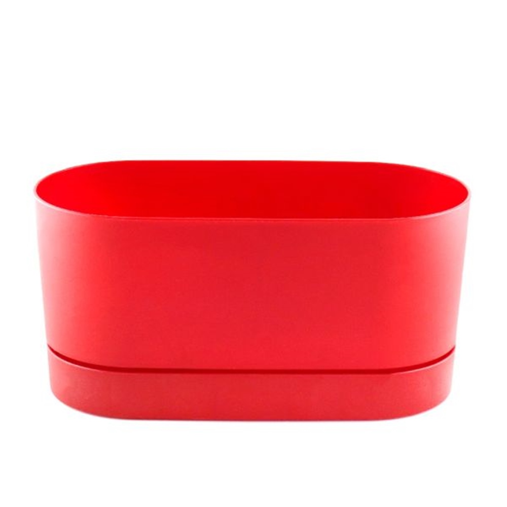Begonya Balkon Saksı Bordo 30cm