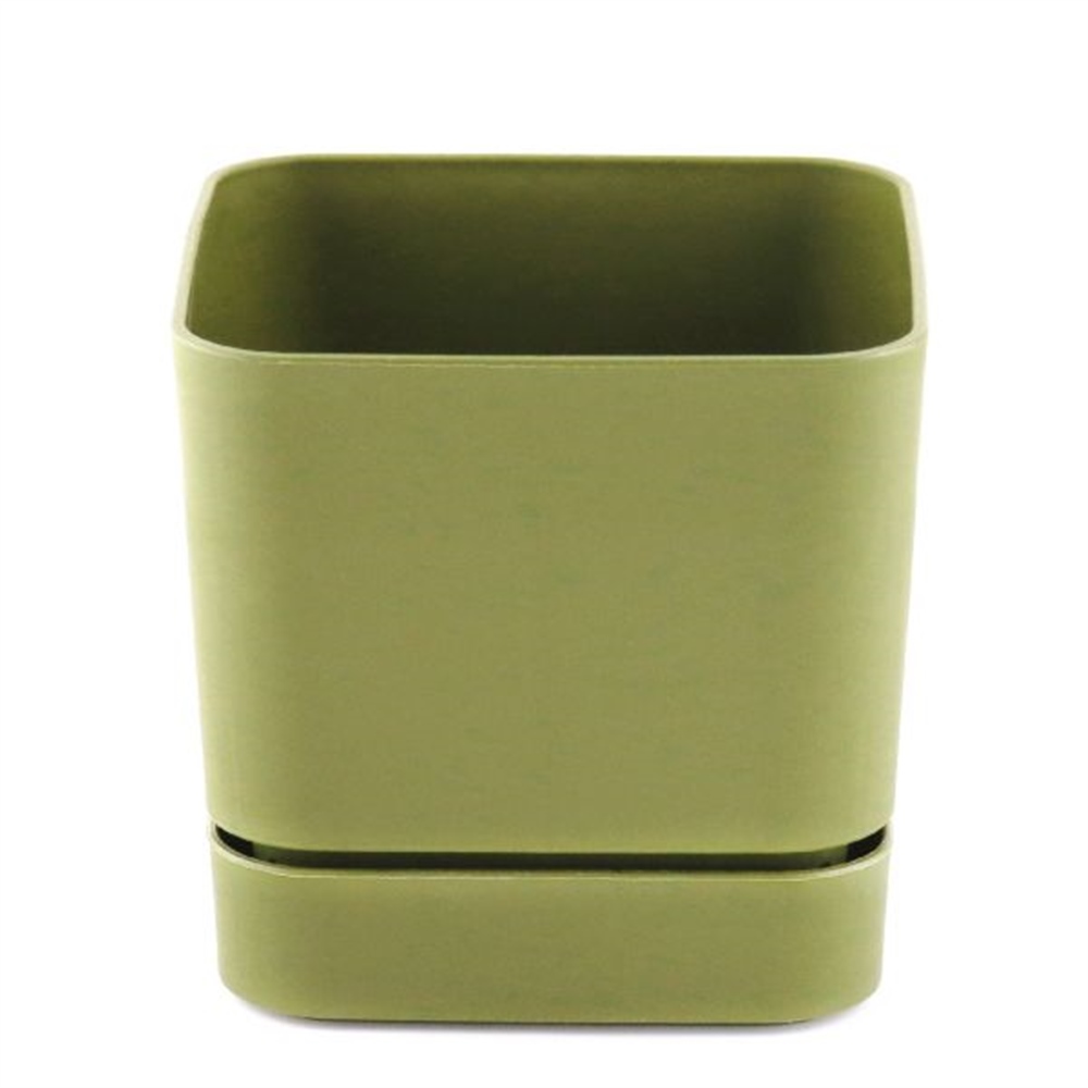 Begonya Kare Saksı Y.Yeşil 13cm