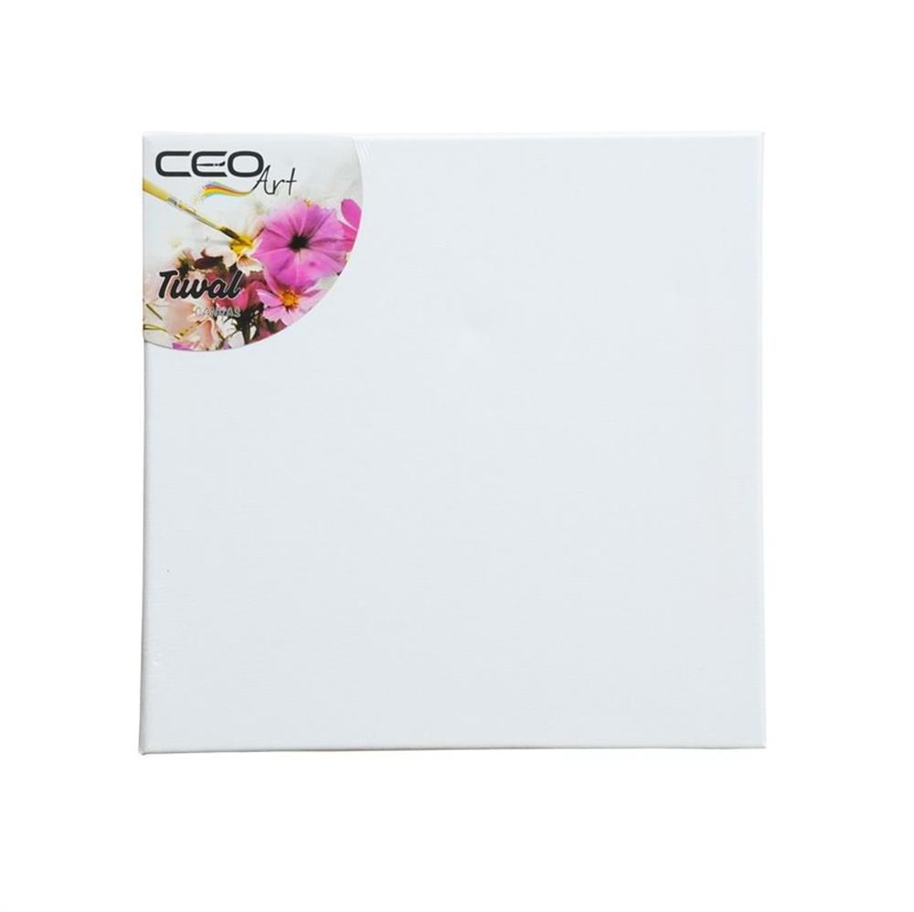 Ceoart Tuval 40x40 Tu0005