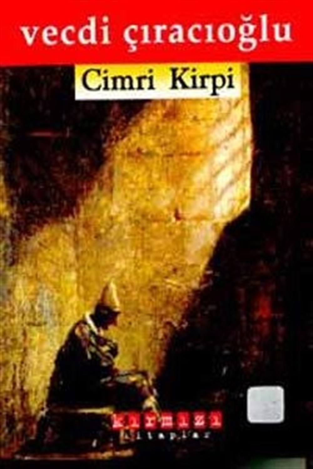 Cimri Kirpi Vecdi Çıracıoğlu Kırmızı Yayınları