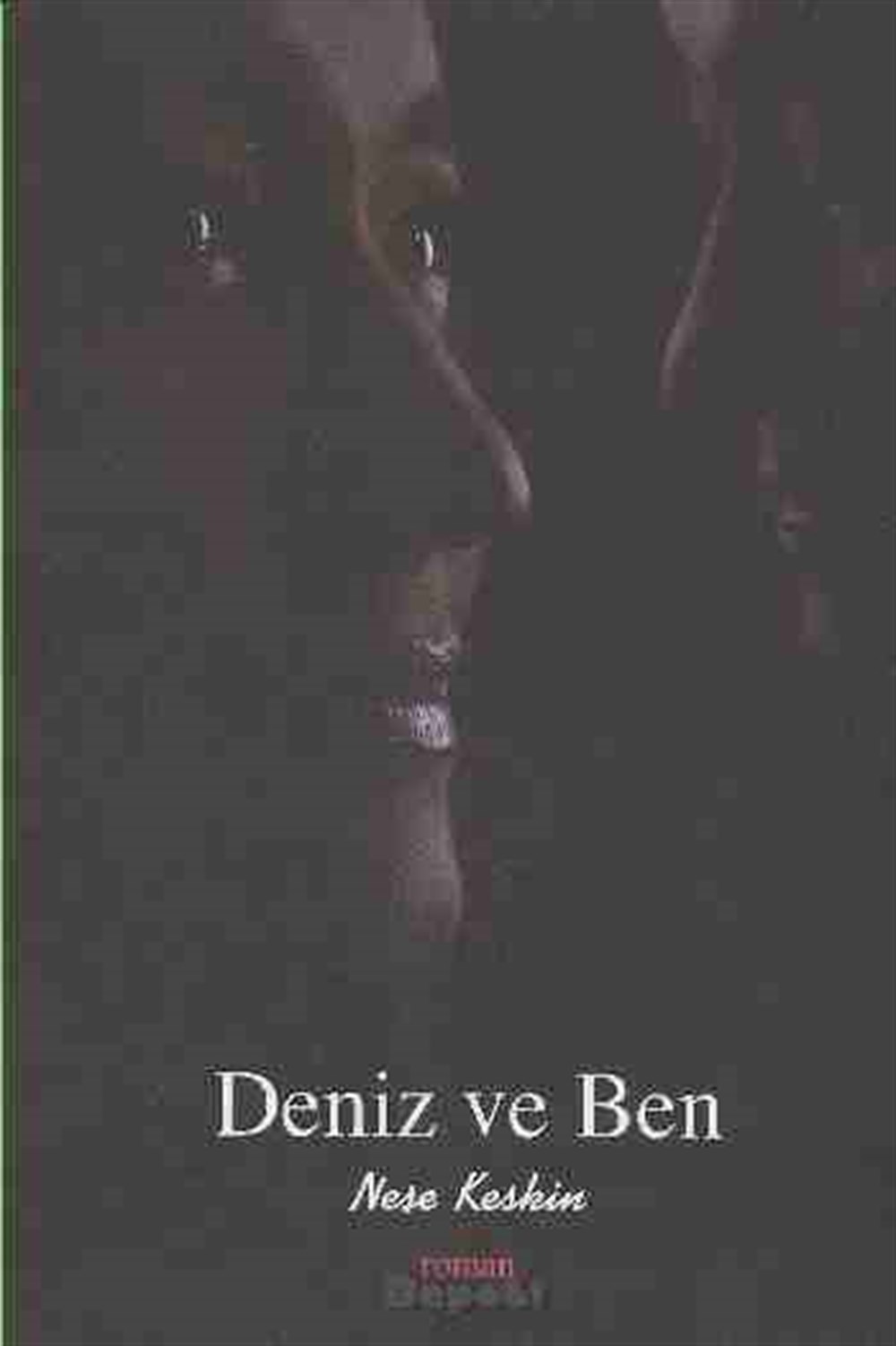 Deniz Ve Ben Neşe Keskin Esen Yayınları