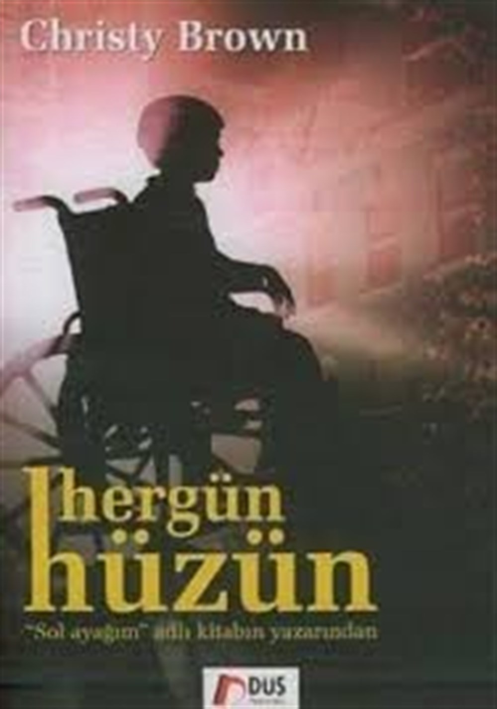 Hergün Hüzün CHRISTY BROWN  Düş Yayınları