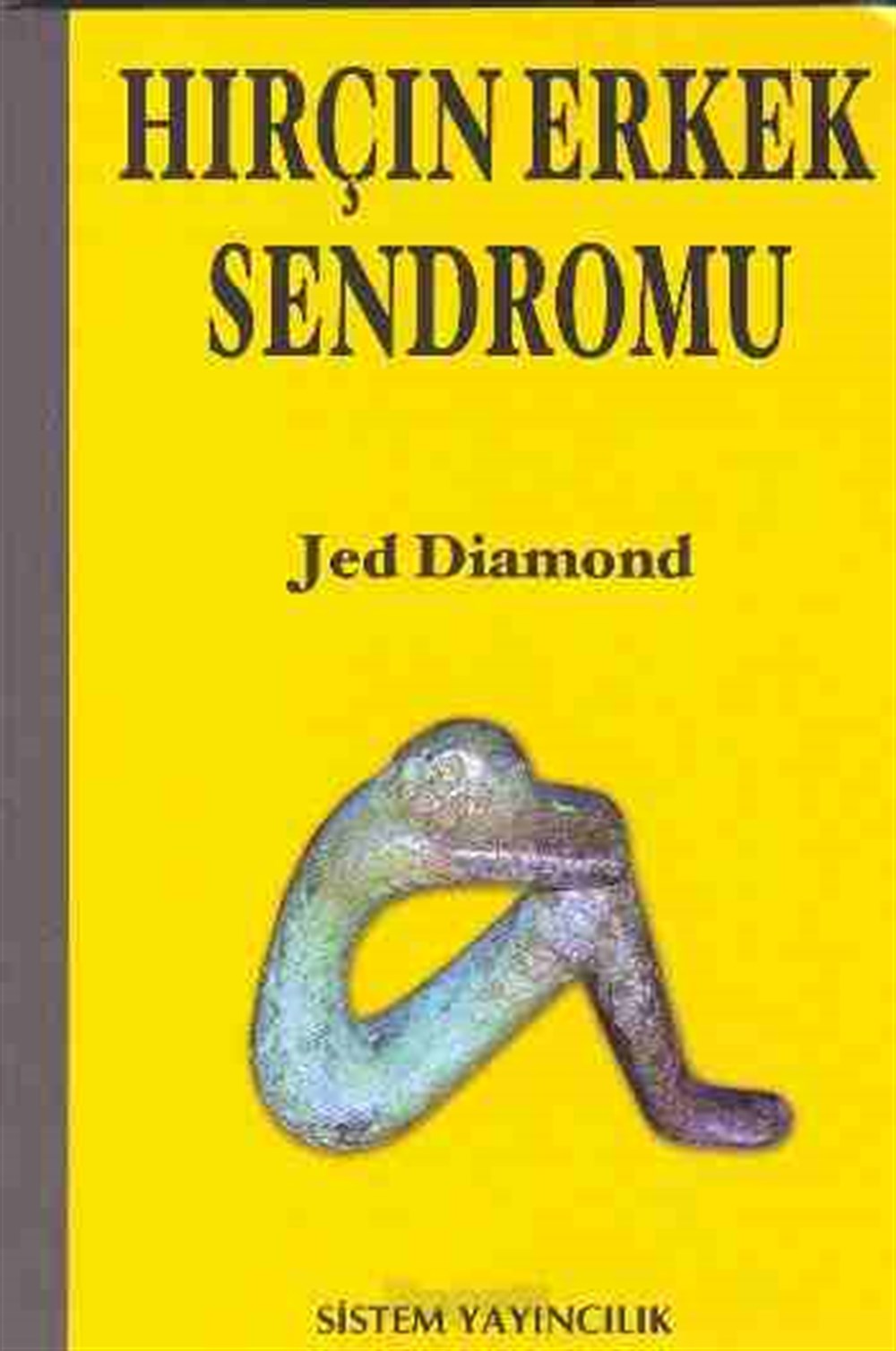 Hırçın Erkek Sendromu Jed Diamond Sistem Yayıncılık