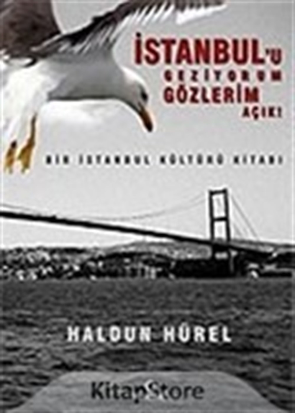 İstanbul'u Geziyorum Gözlerim Açık Haldun Ürel Dharma Yayınları