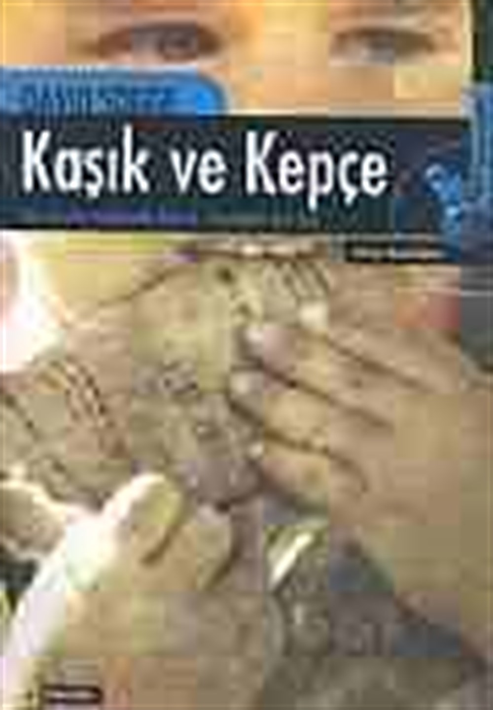 Kaşık ve Kepçe David Sogge Çitlembik Yayınevi