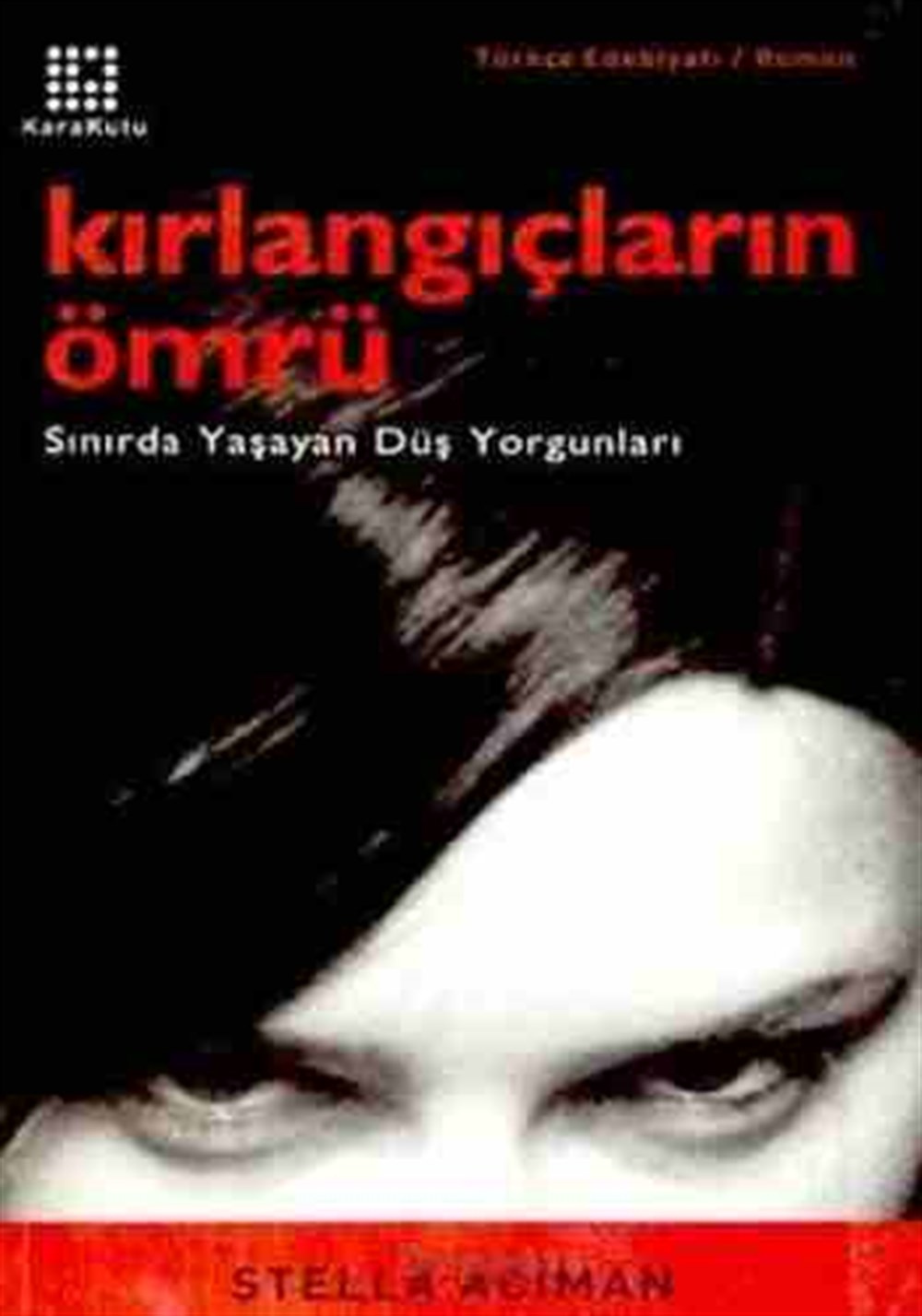 Kırlangıçların ömrü Stella Aciman Karakutu Yayınları