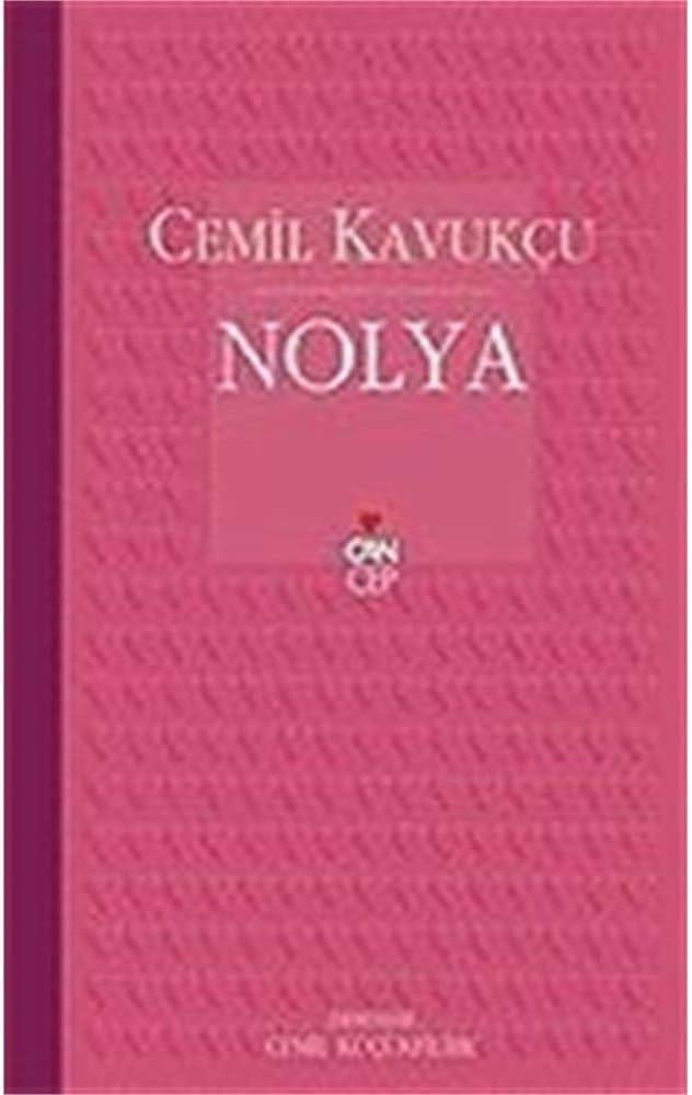 Kültür Kitapları