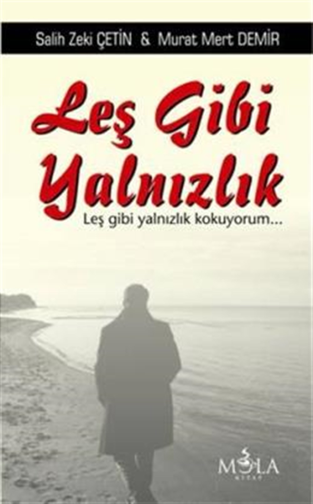 Leş Gibi Yalnızlık Salih Zeki Çetin Mola Kitap