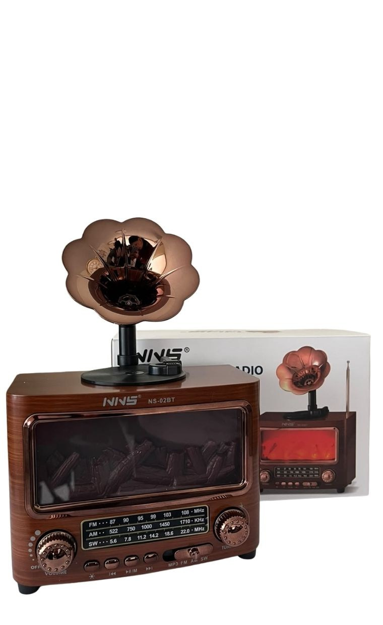 NNS Nostajik Gramafon Radyo NS-02BT