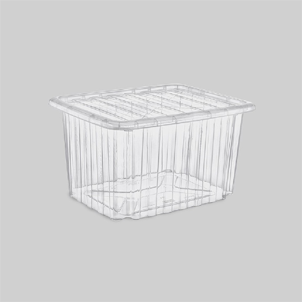 Poly Time Unıversal Kapaklı Kasa 30 Litre (Şeffaf) E-663