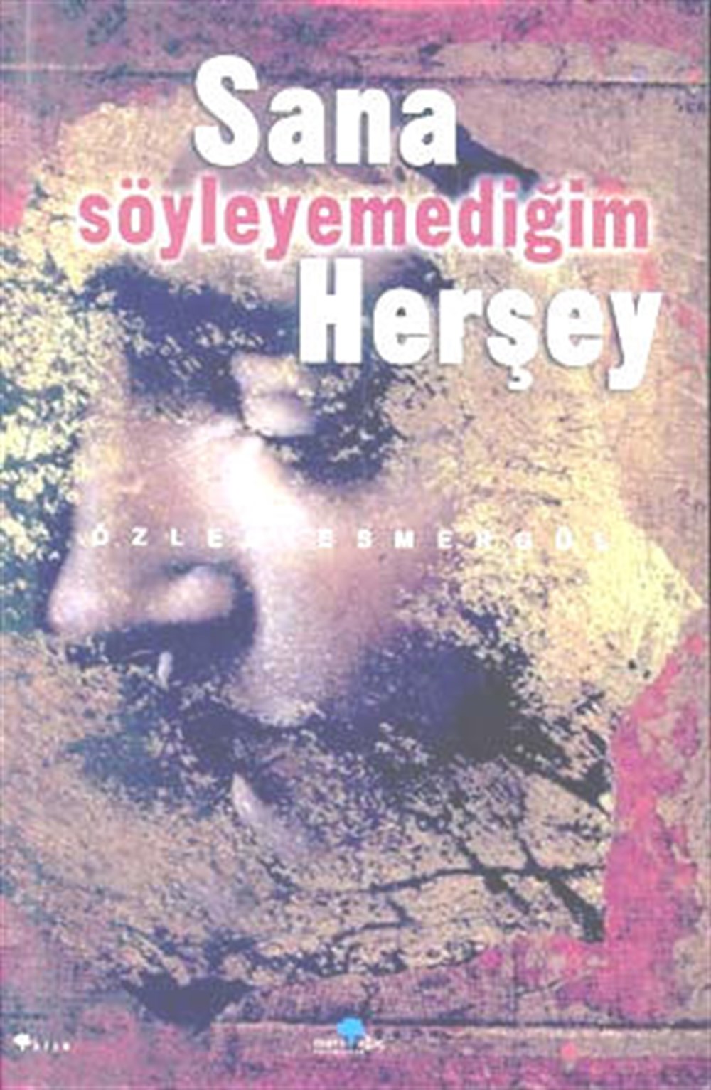 Sana Söyleyemediğim Herşey Özlem Esmergül Mavi Ağaç Yayınları