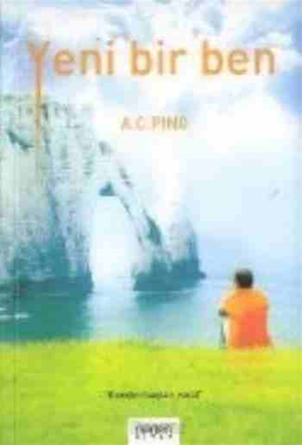 Yeni Bir Ben A.C. Ping Neden Kitap