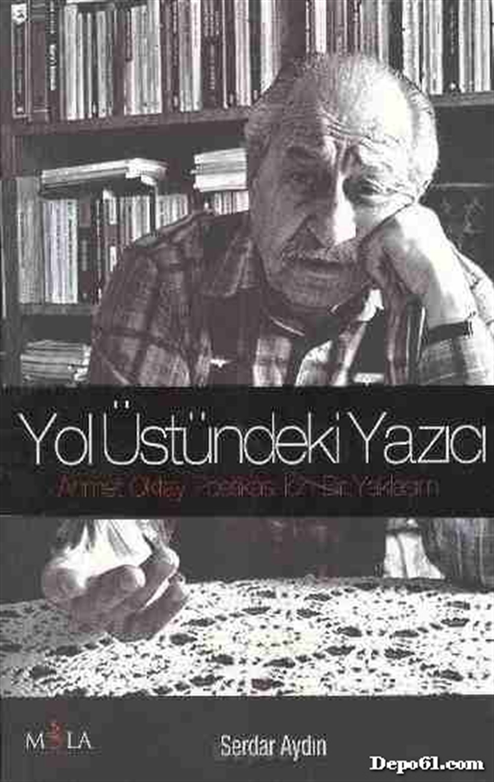 Yol Üstündeki Yazıcı Serday Aydın Mola Kitap