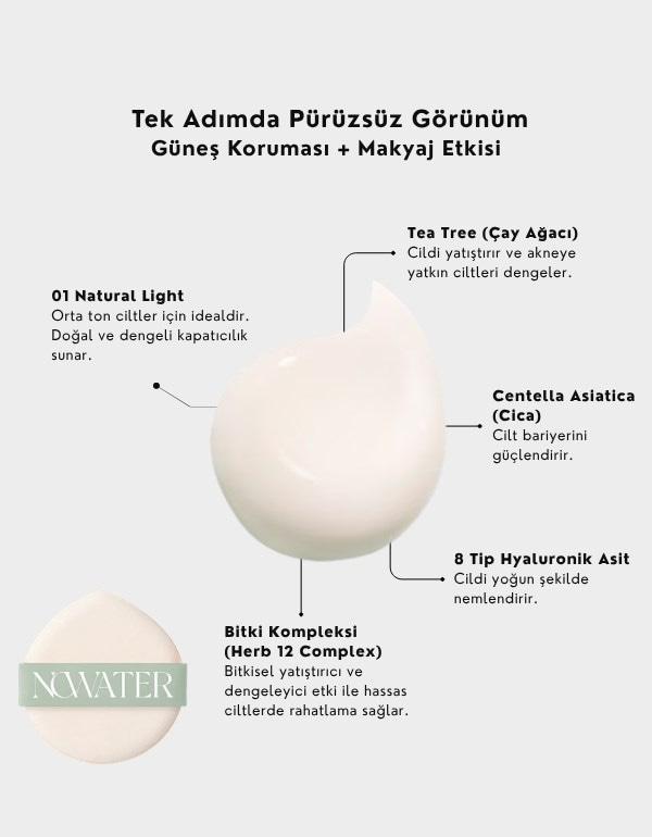 Teatree Day-Day Tone Up Sun Cushion SPF50+ | Çay Ağacı Özlü Renkli Güneş Kremi Cushion | 02 Natural Light