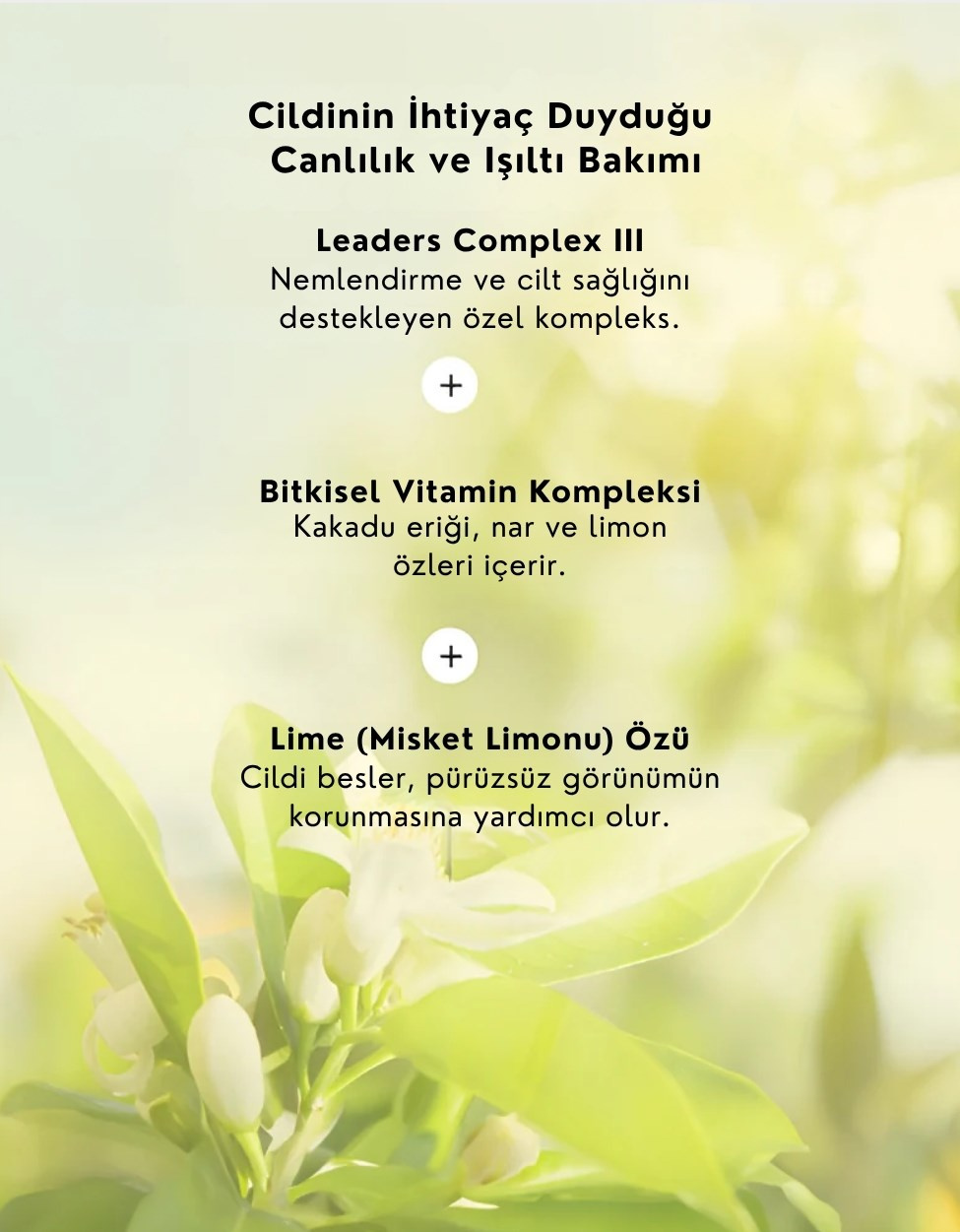 Vita Toning Skin Renewal Mask | Aydınlatıcı ve Cilt Tonu Eşitleyici Kağıt Maske