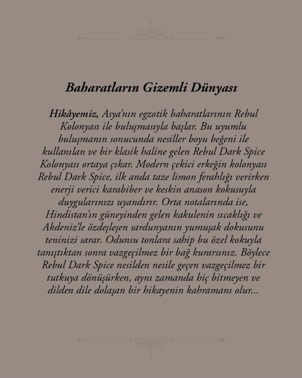Rebul Dark Spice EDC Kolonya 250 ml Cam Şişe