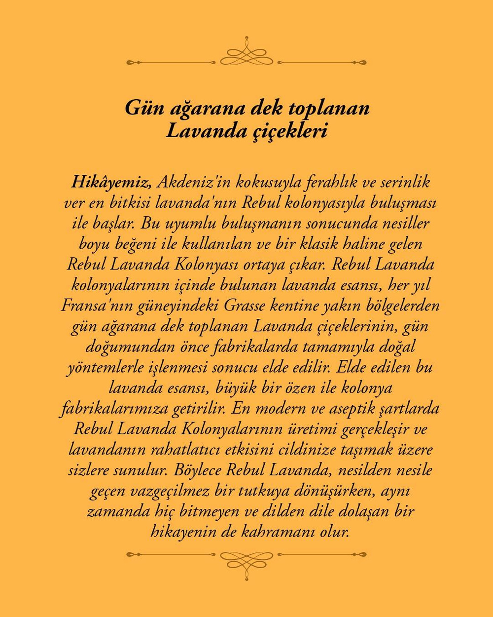 Rebul Lavanda EDC Kolonya 250 ml Cam Şişe