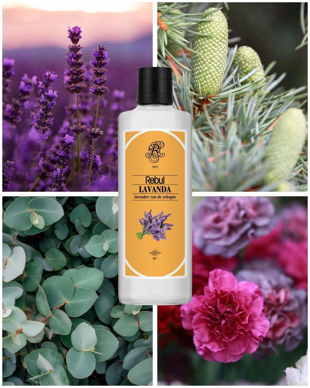 Rebul Lavanda EDC Kolonya 250 ml Cam Şişe