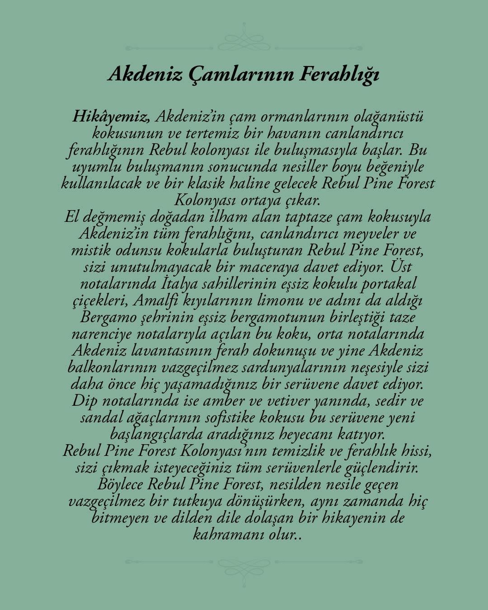 Rebul Pine Forest EDC Kolonya 125 ml Pet Şişe