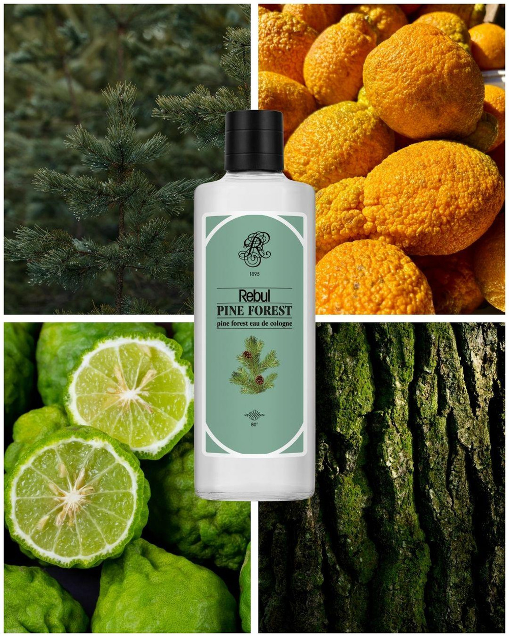 Rebul Pine Forest EDC Kolonya 250 ml 2li Set
