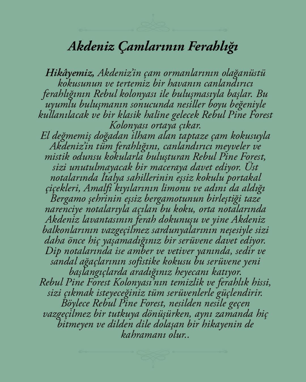 Rebul Pine Forest EDC Kolonya 250 ml Cam Şişe