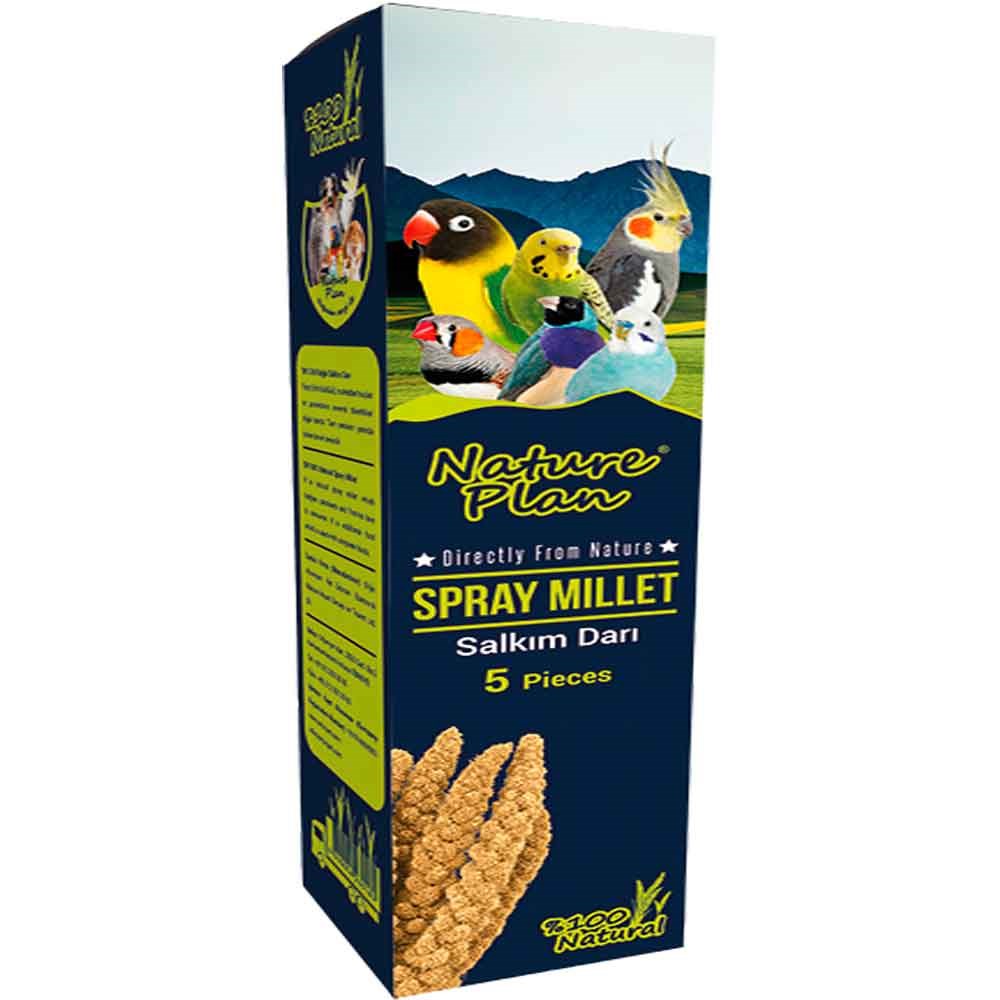 Nature Plan Doğal Darı Dalı 5'li 8699004230180 Amazon Pet Center