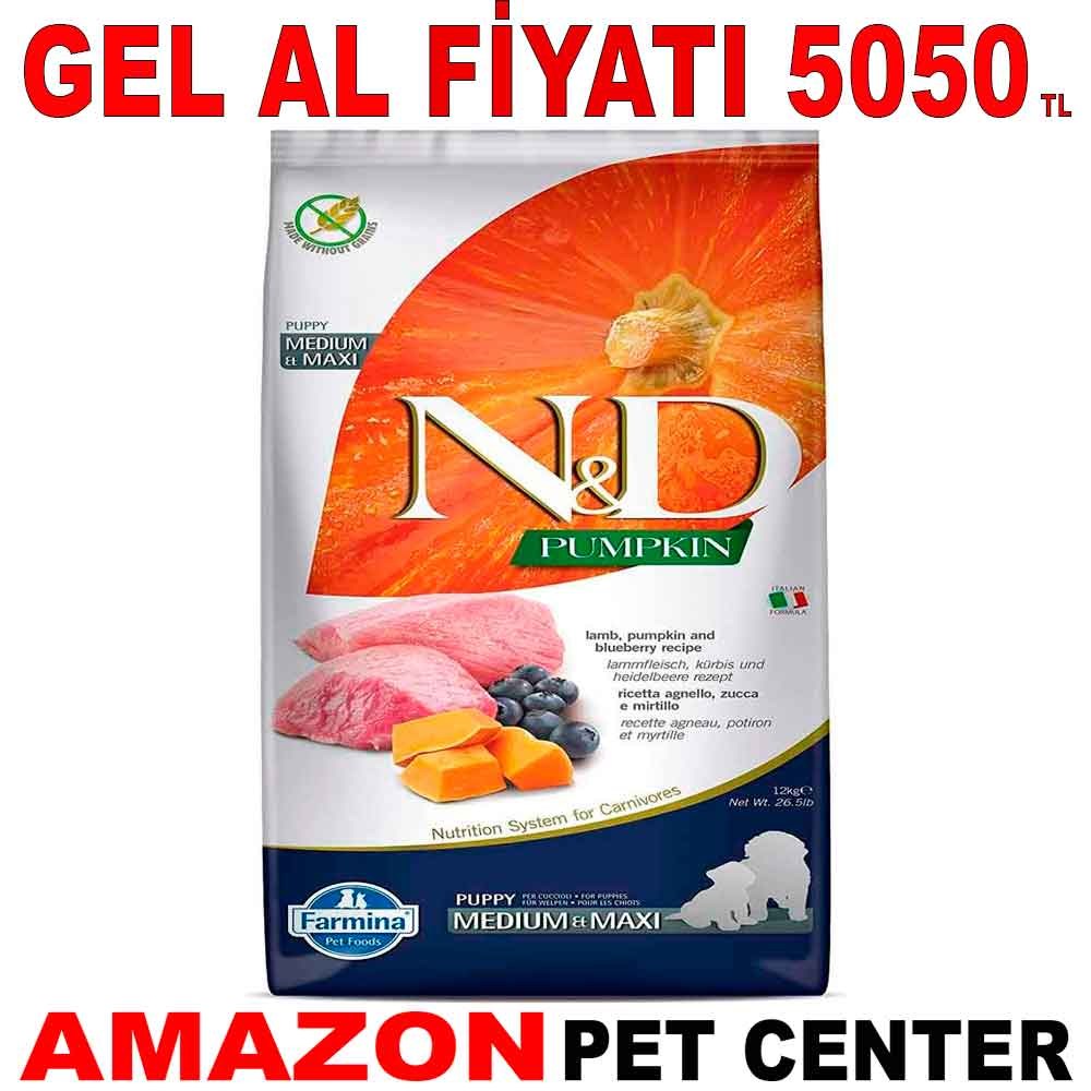ND Balkabaklı Kuzu Etli Tahılsız Yavru Köpek Maması 12 Kg Gel Al 18650006 Amazon Pet Center